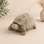 Schildkröte aus Stein