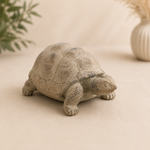 Schildkröte aus Stein